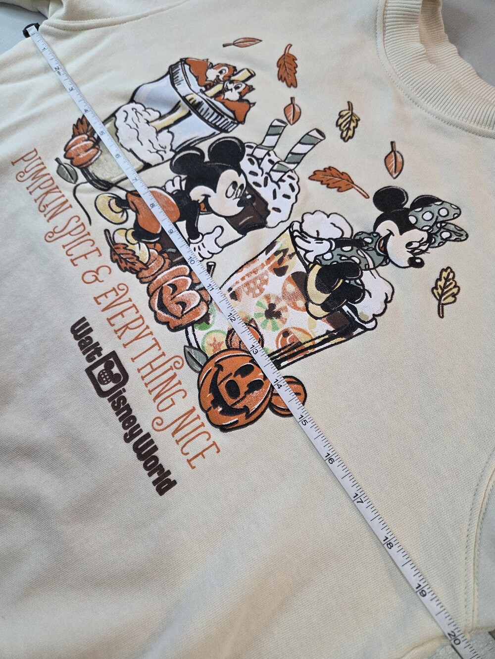 Walt Disney World Pumpkin Spice And Everything Nice Sweater - Picture 7 of 8